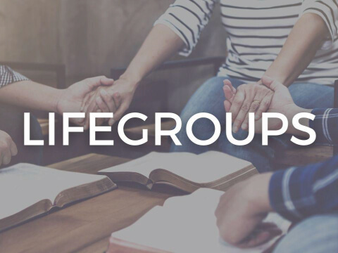 Life Groups